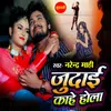 About Judai Kahe Hola Song